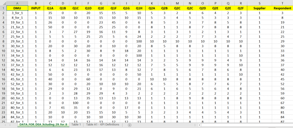 Preview of the study data workbook