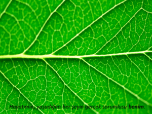 Hayatımın, yaşadığım her şeyin gerçek sorumlusu benim.